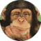 EvD Avatar