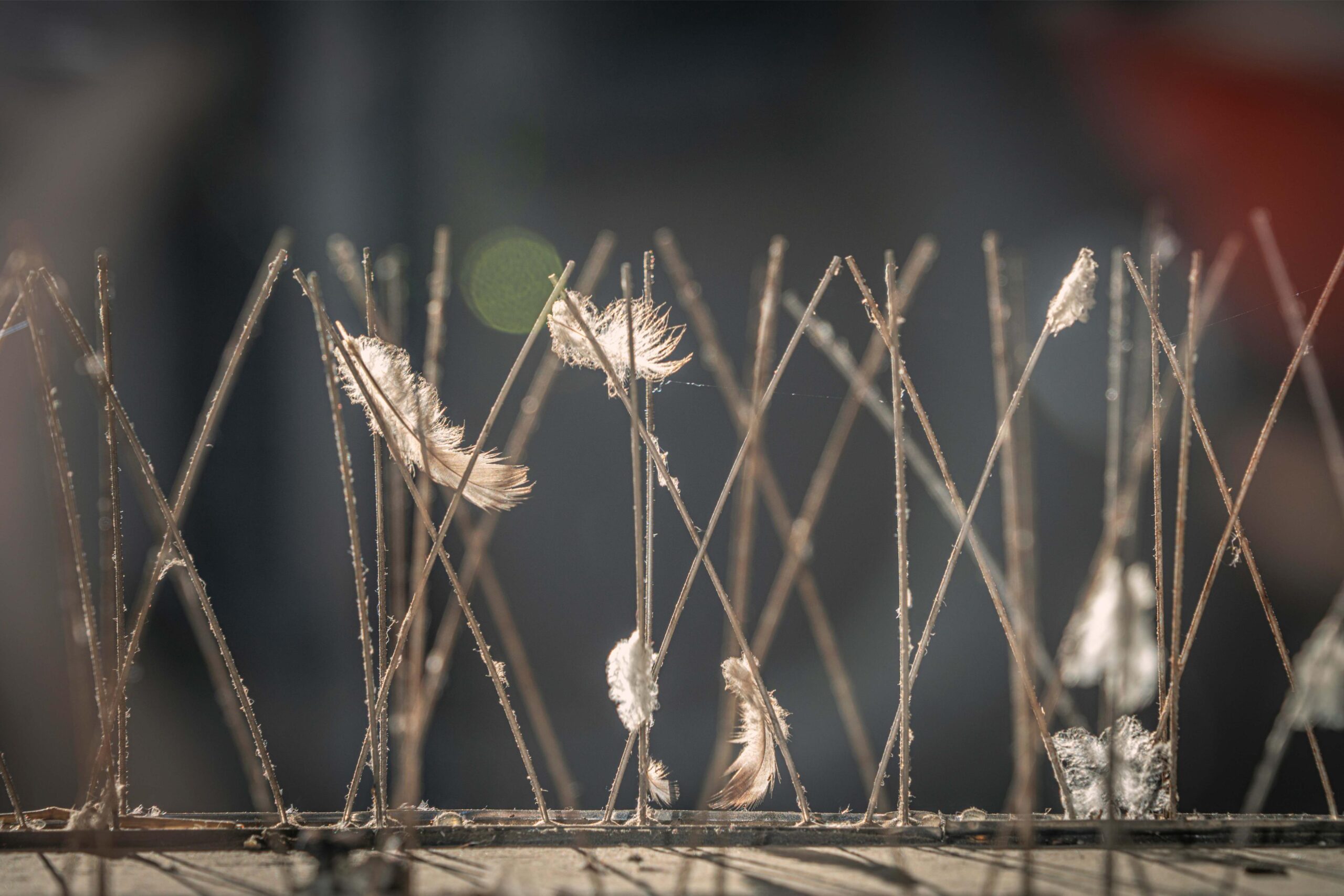 AdobeStock_337734832
