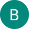 Birgul Goren Avatar